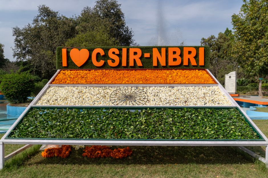 Logo for CSIR NGRI Technician Recruitment 2026: Apply Online for 21 Posts, Eligibility, Fee & Selection Process